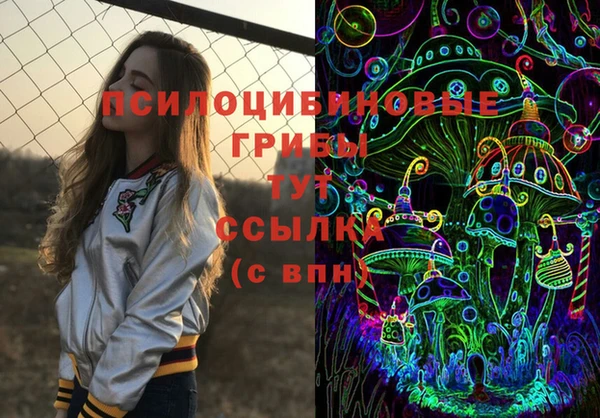 марки lsd Богородицк