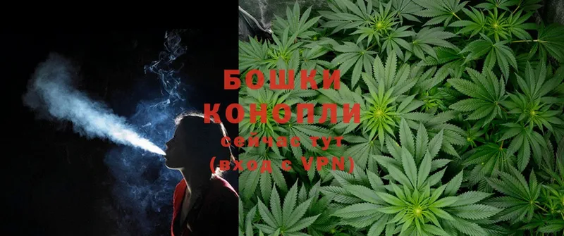 Канабис Ganja  Новороссийск 